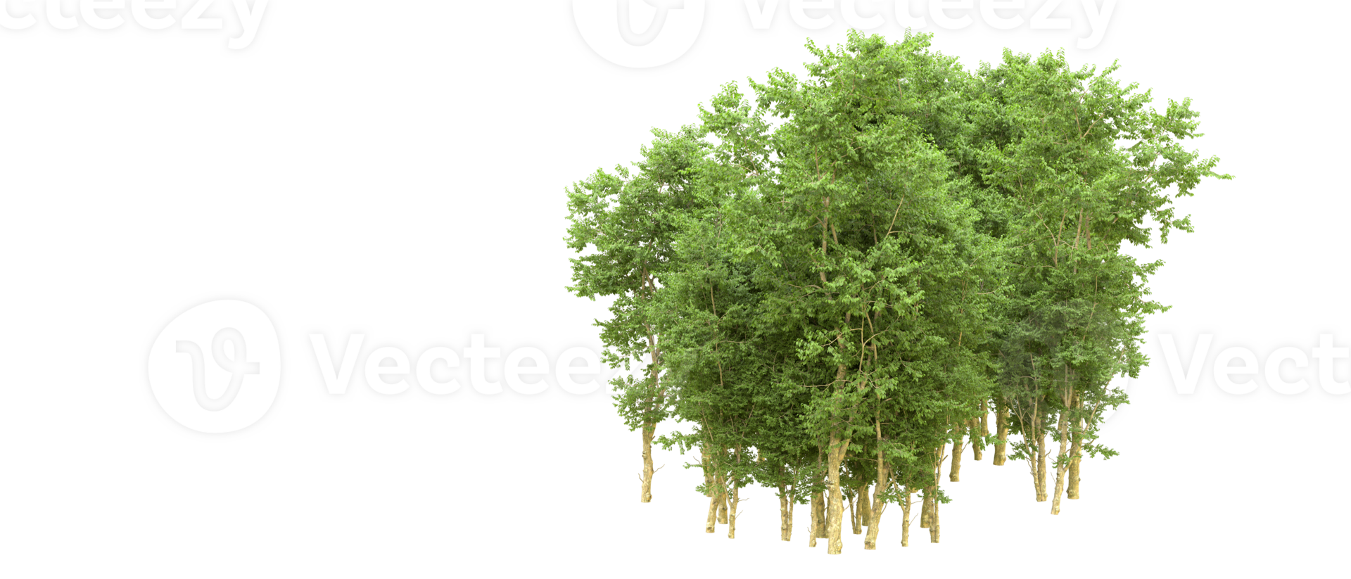 verde bosque aislado en antecedentes. 3d representación - ilustración png