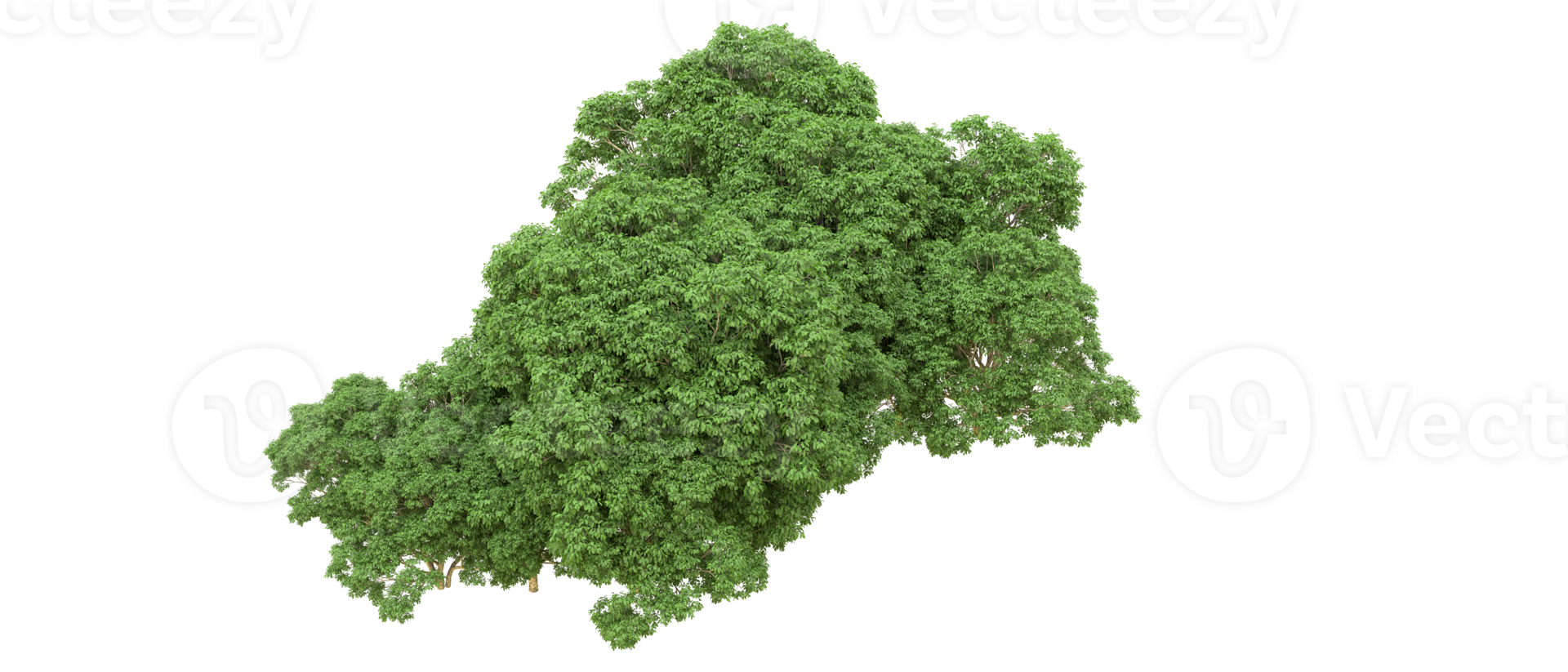 Green forest isolated on background. 3d rendering - illustration png