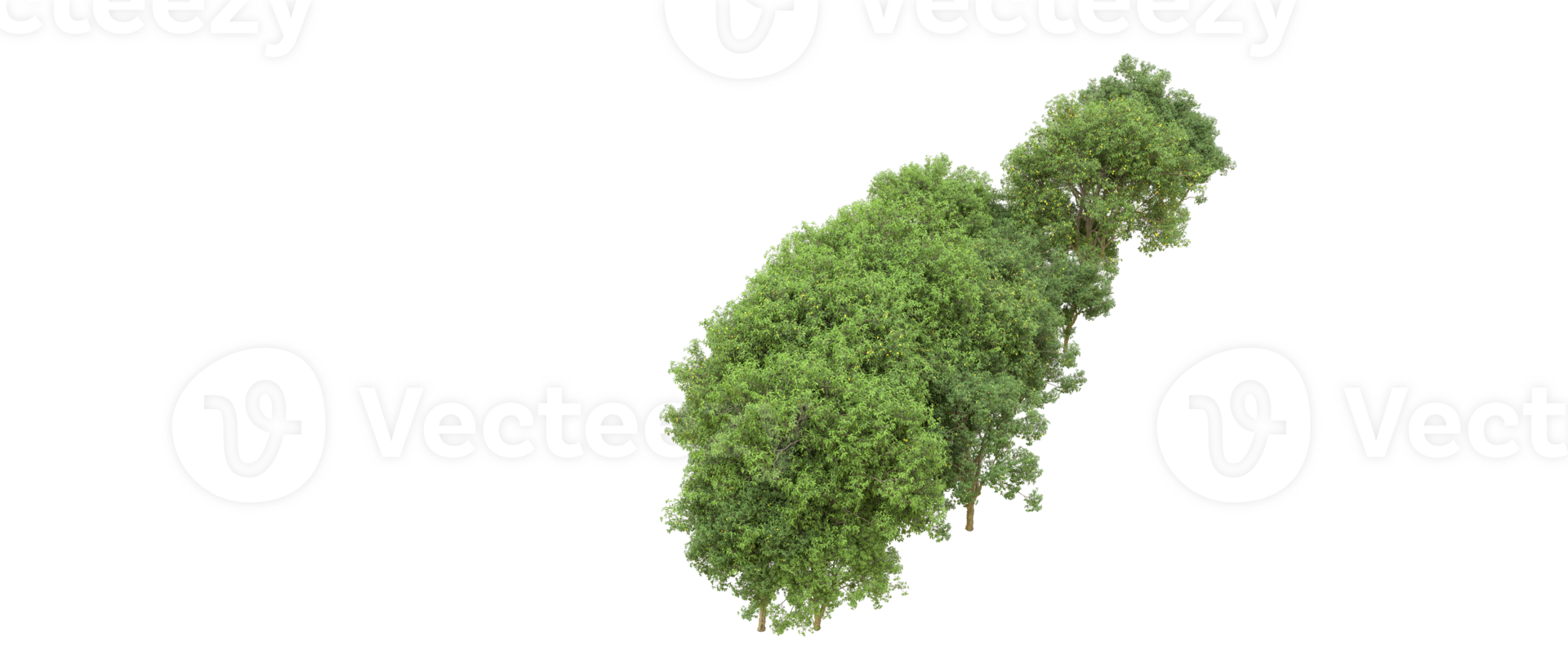 Green forest isolated on background. 3d rendering - illustration png