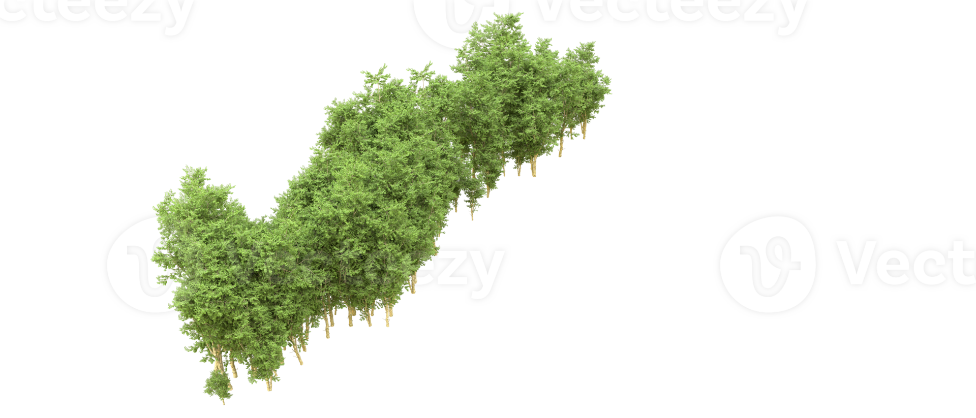 Green forest isolated on background. 3d rendering - illustration png