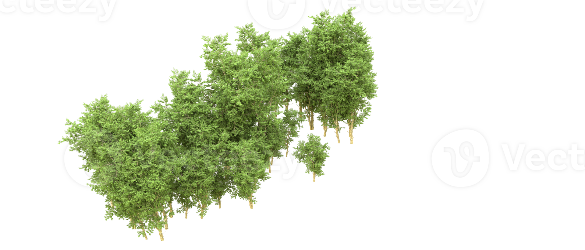 Green forest isolated on background. 3d rendering - illustration png