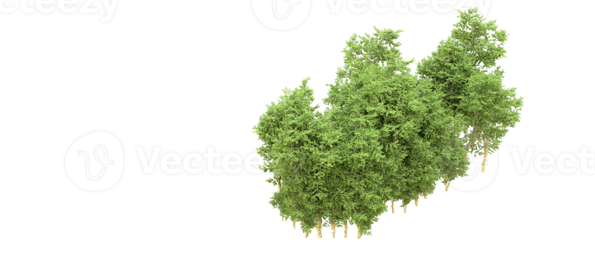 Green forest isolated on background. 3d rendering - illustration png