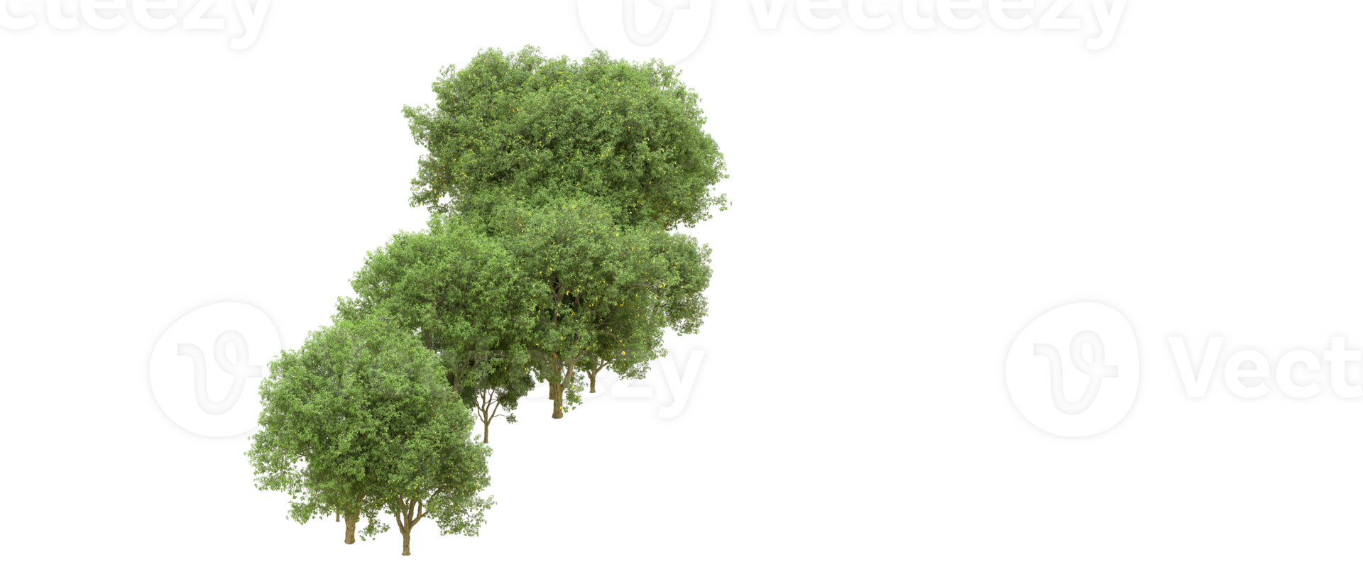 Green forest isolated on background. 3d rendering - illustration png