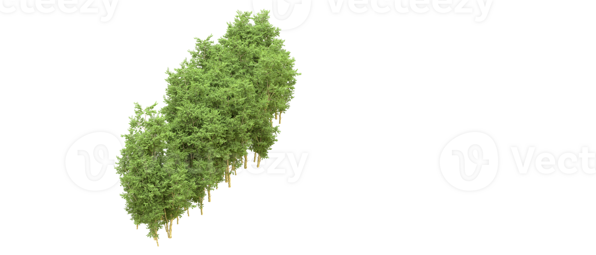Green forest isolated on background. 3d rendering - illustration png