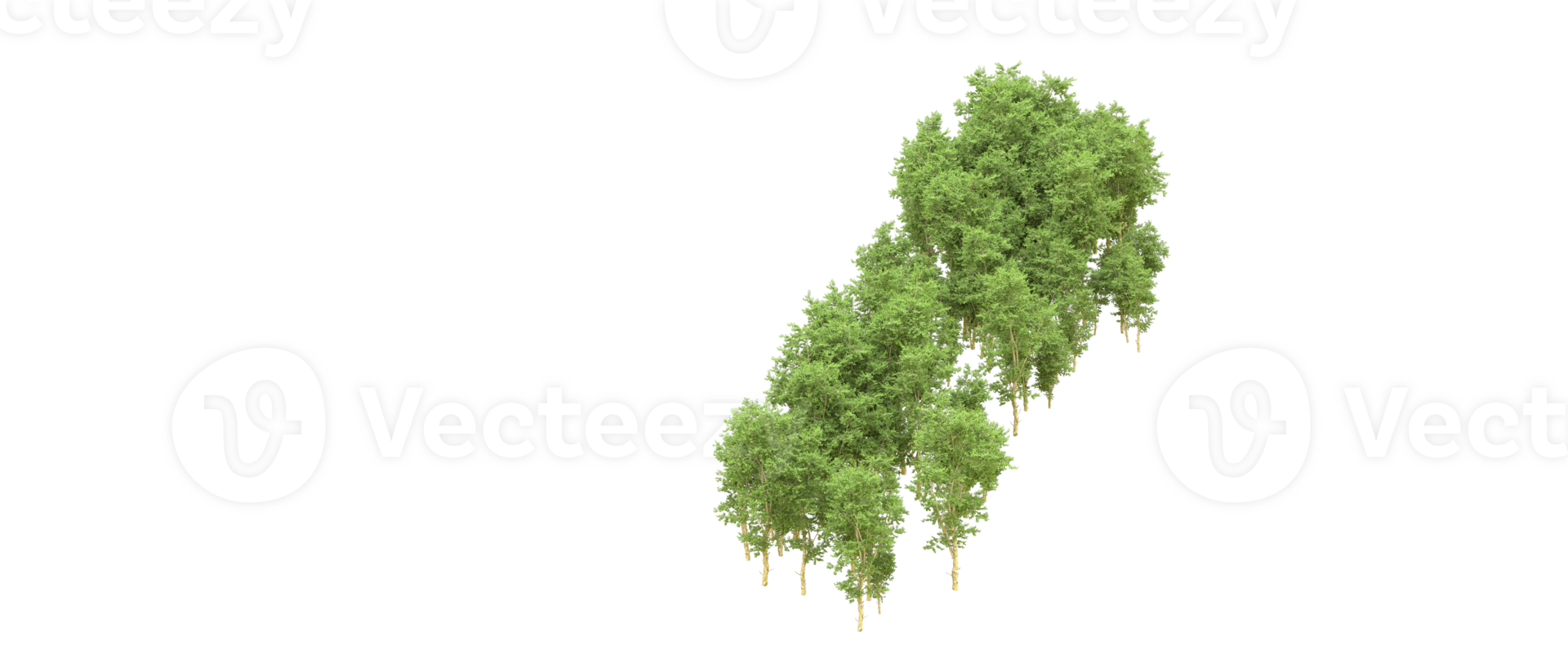 Green forest isolated on background. 3d rendering - illustration png