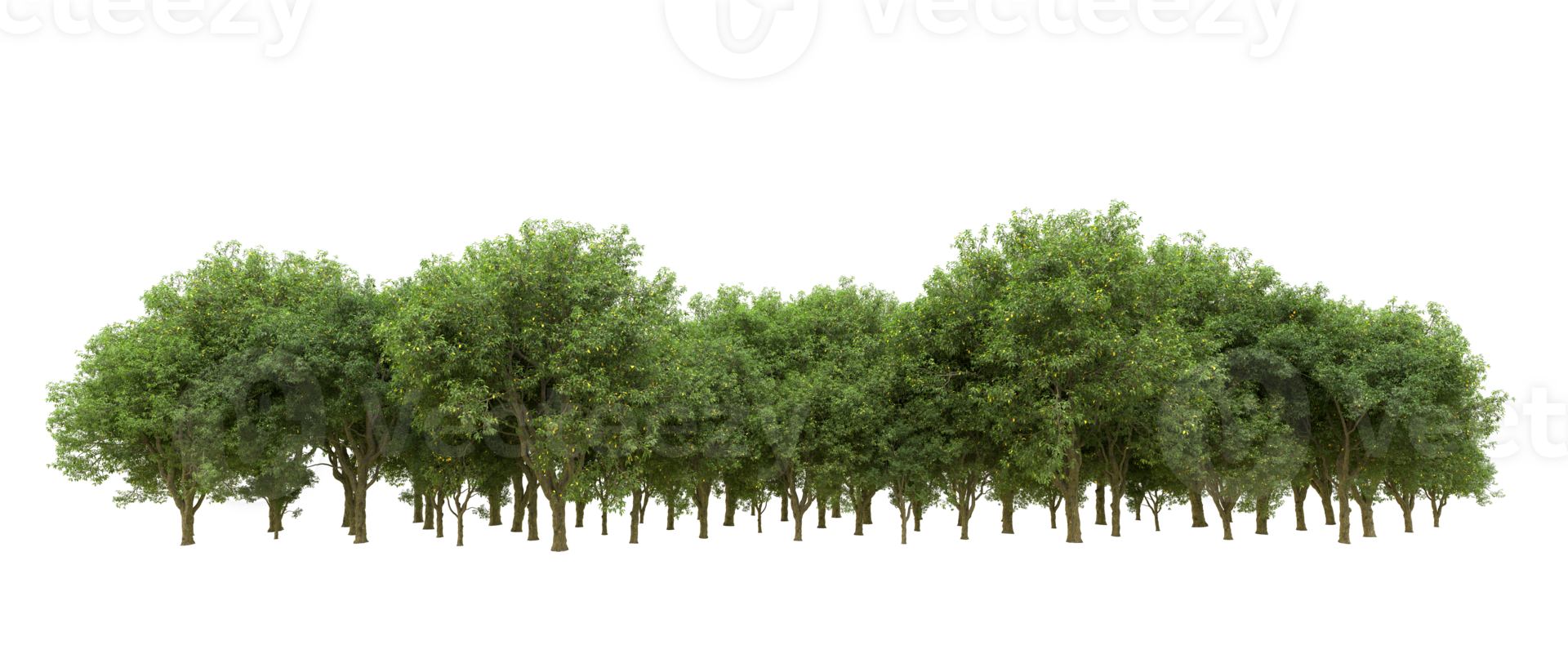 Green forest isolated on background. 3d rendering - illustration png