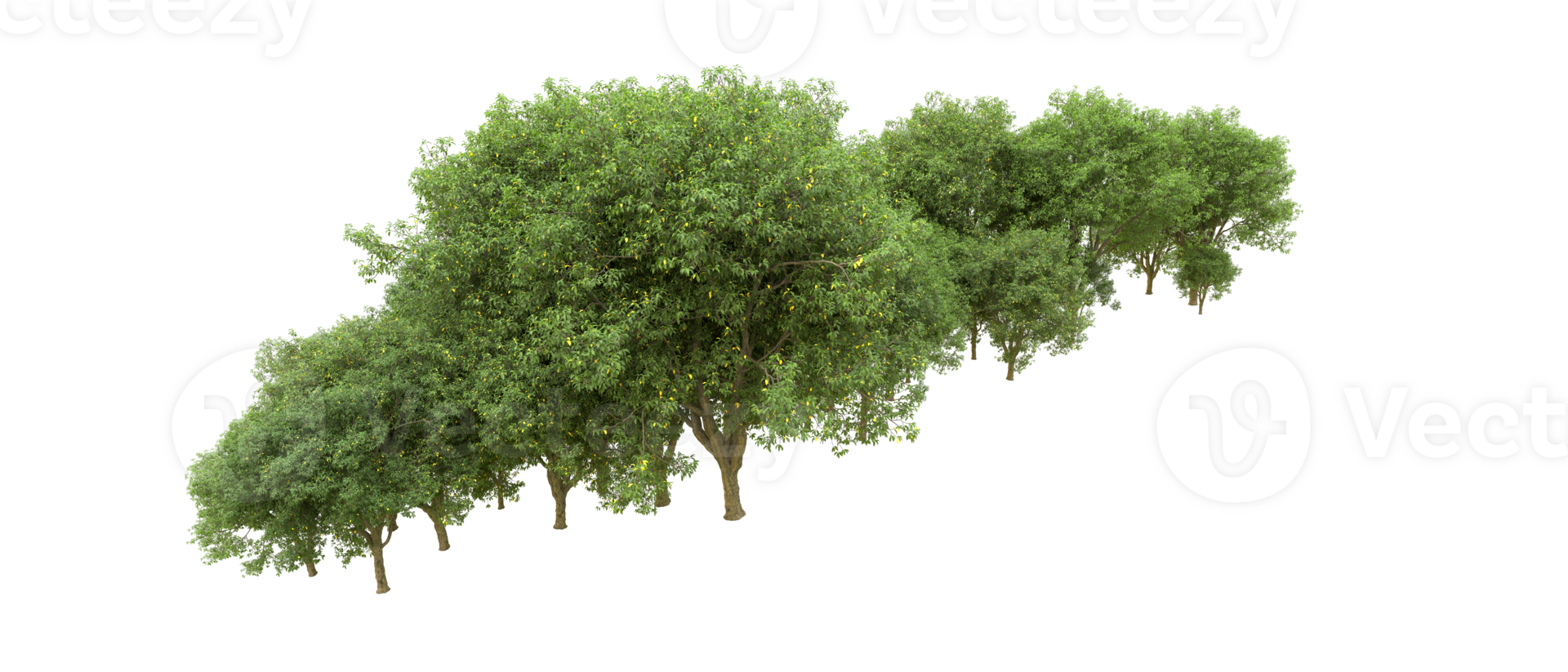 Green forest isolated on background. 3d rendering - illustration png
