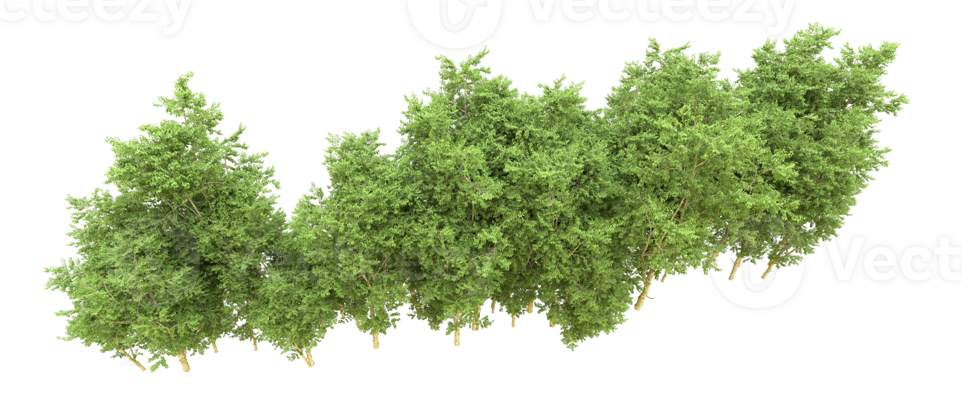 Green forest isolated on background. 3d rendering - illustration png