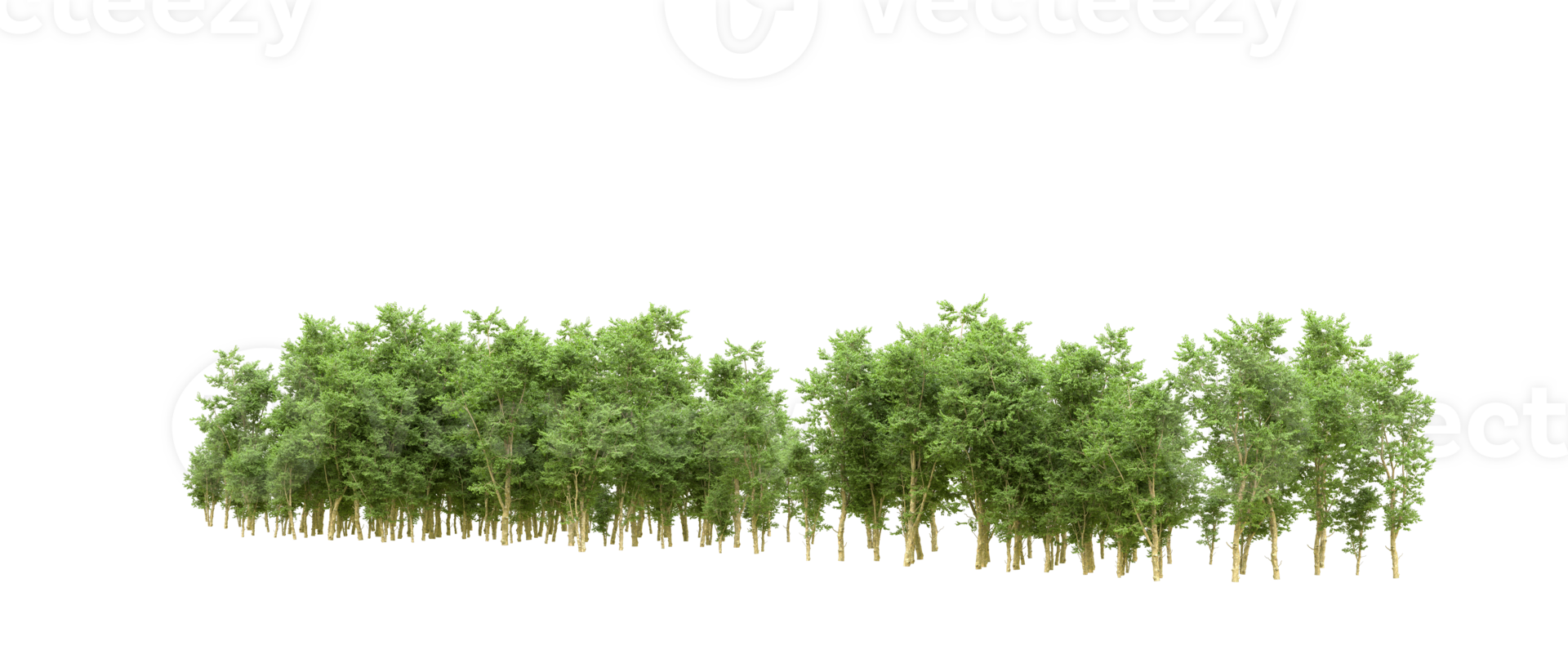 Green forest isolated on background. 3d rendering - illustration png