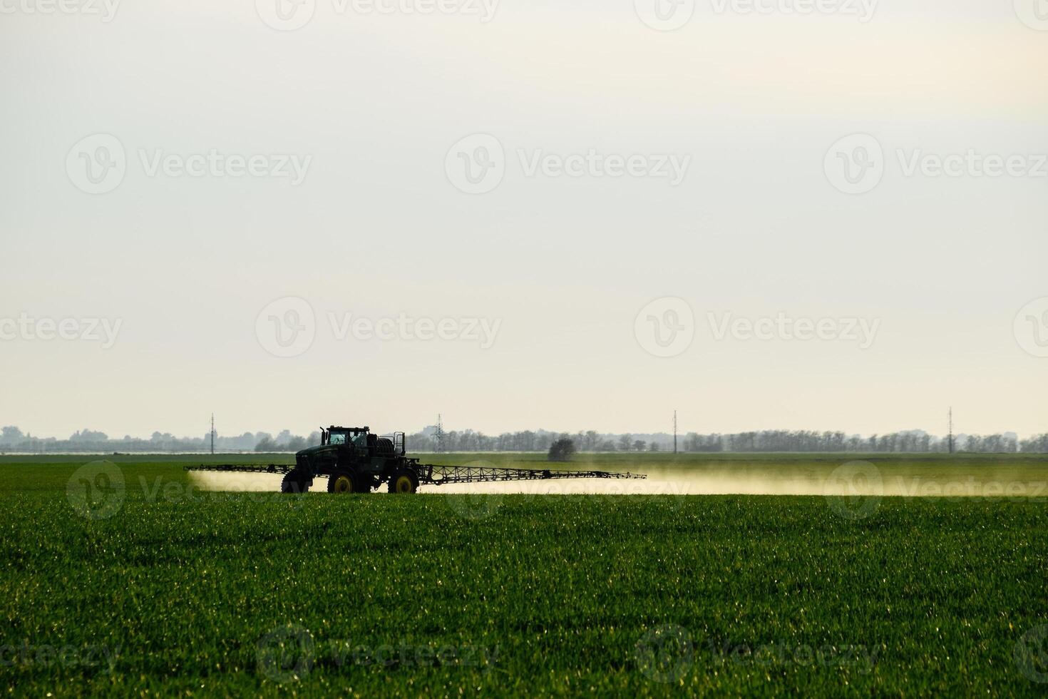 tractor with the help of a sprayer sprays liquid fertilizers on young wheat in the field. photo