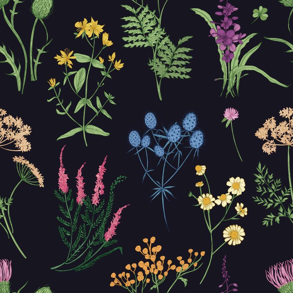 floral sin costura modelo con vistoso bosque hierbas, herbáceo plantas y floreciente salvaje flores en negro antecedentes. botánico vector ilustración para textil imprimir, fondo de pantalla, envase papel.