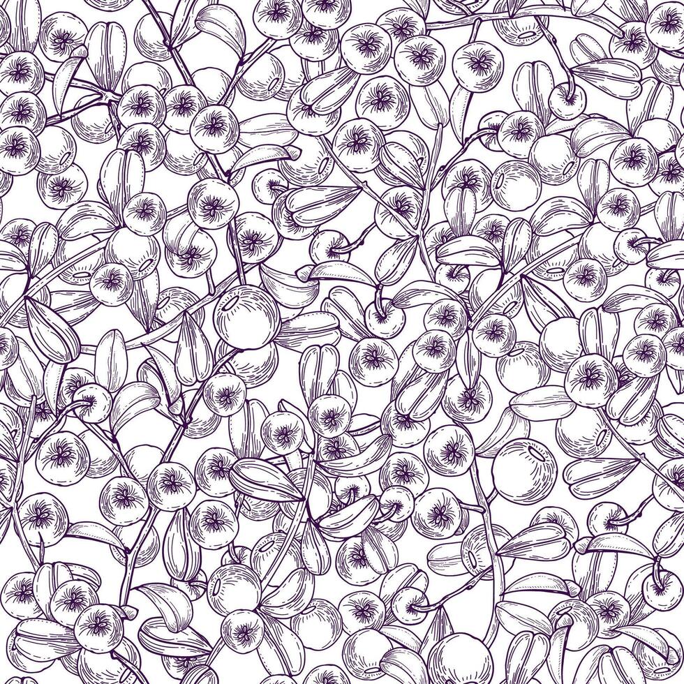 Monochrome seamless pattern with arctic lingonberry hand drawn with purple lines on white background. Boreal forest berry. Botanical vector illustration in engraving style for fabric print, wallpaper.