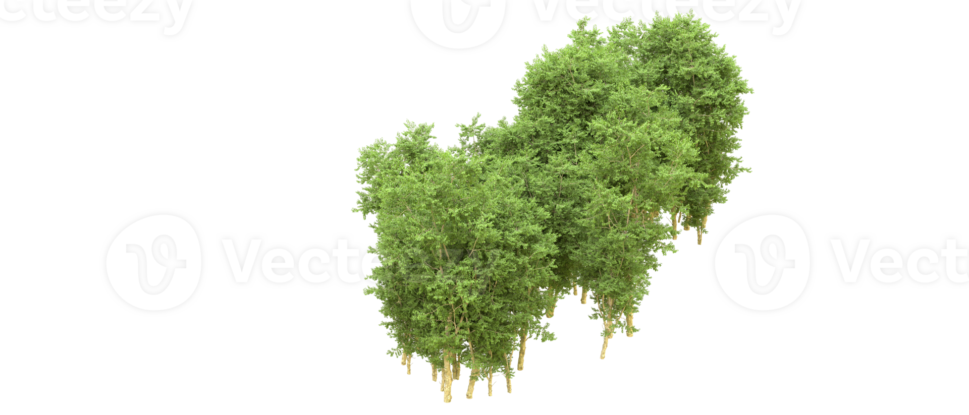 Green forest isolated on background. 3d rendering - illustration png
