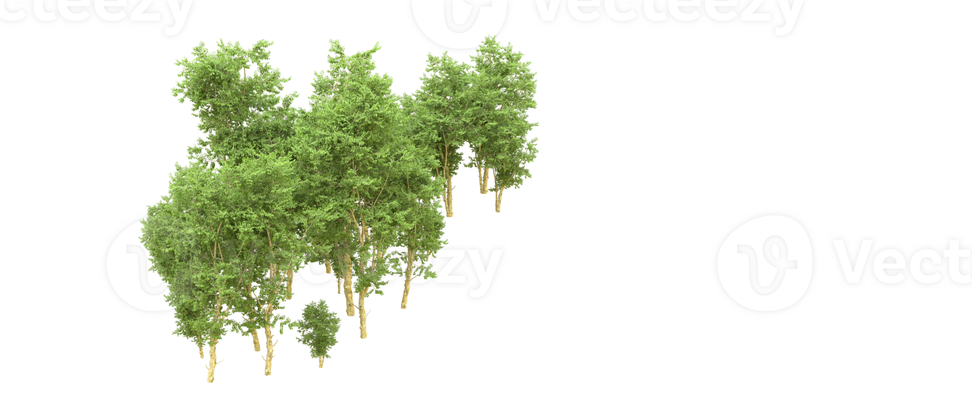 Green forest isolated on background. 3d rendering - illustration png