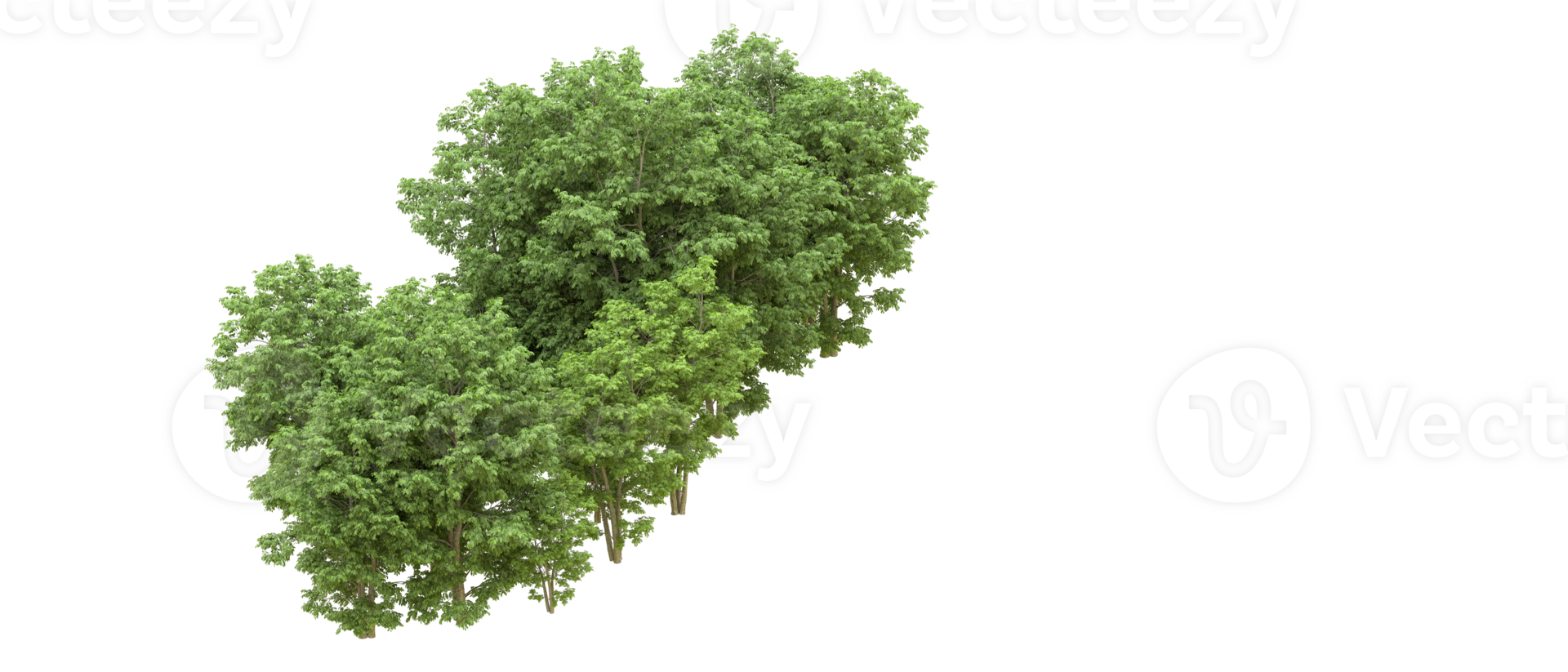 Green forest isolated on background. 3d rendering - illustration png