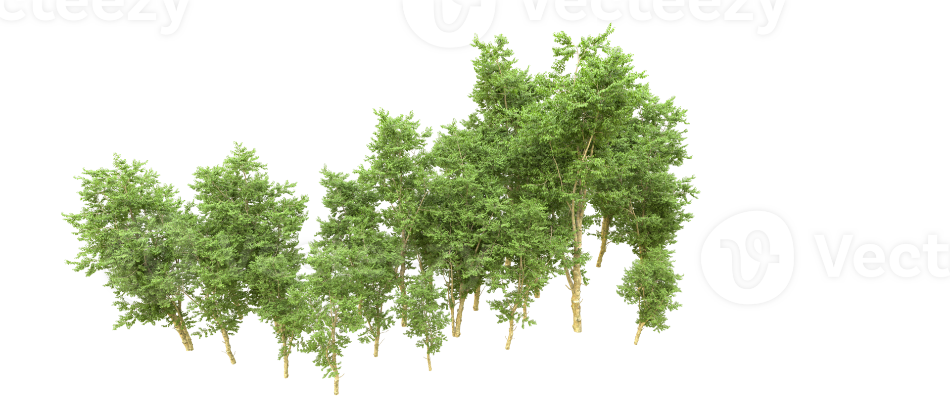 verde bosque aislado en antecedentes. 3d representación - ilustración png