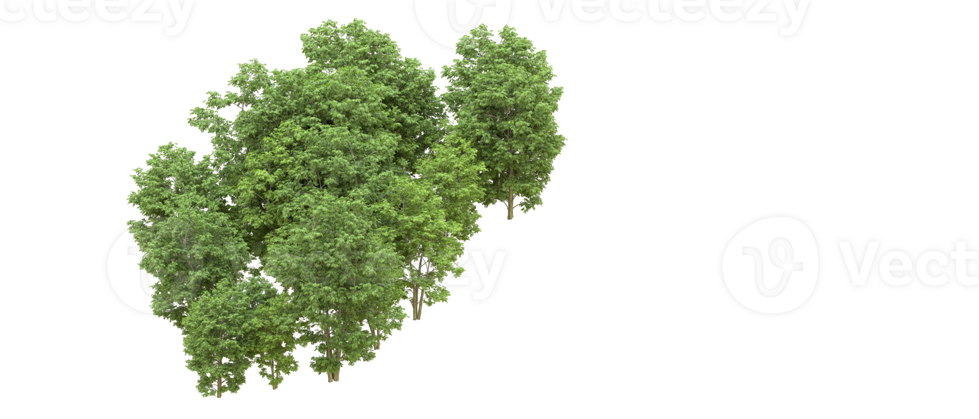 Green forest isolated on background. 3d rendering - illustration png