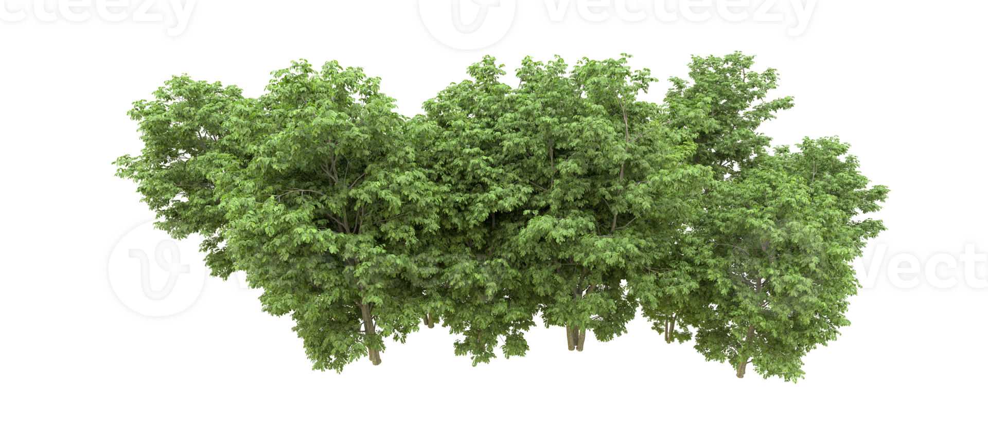 Green forest isolated on background. 3d rendering - illustration png