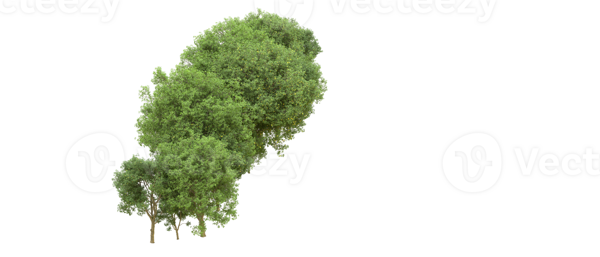 Green forest isolated on background. 3d rendering - illustration png