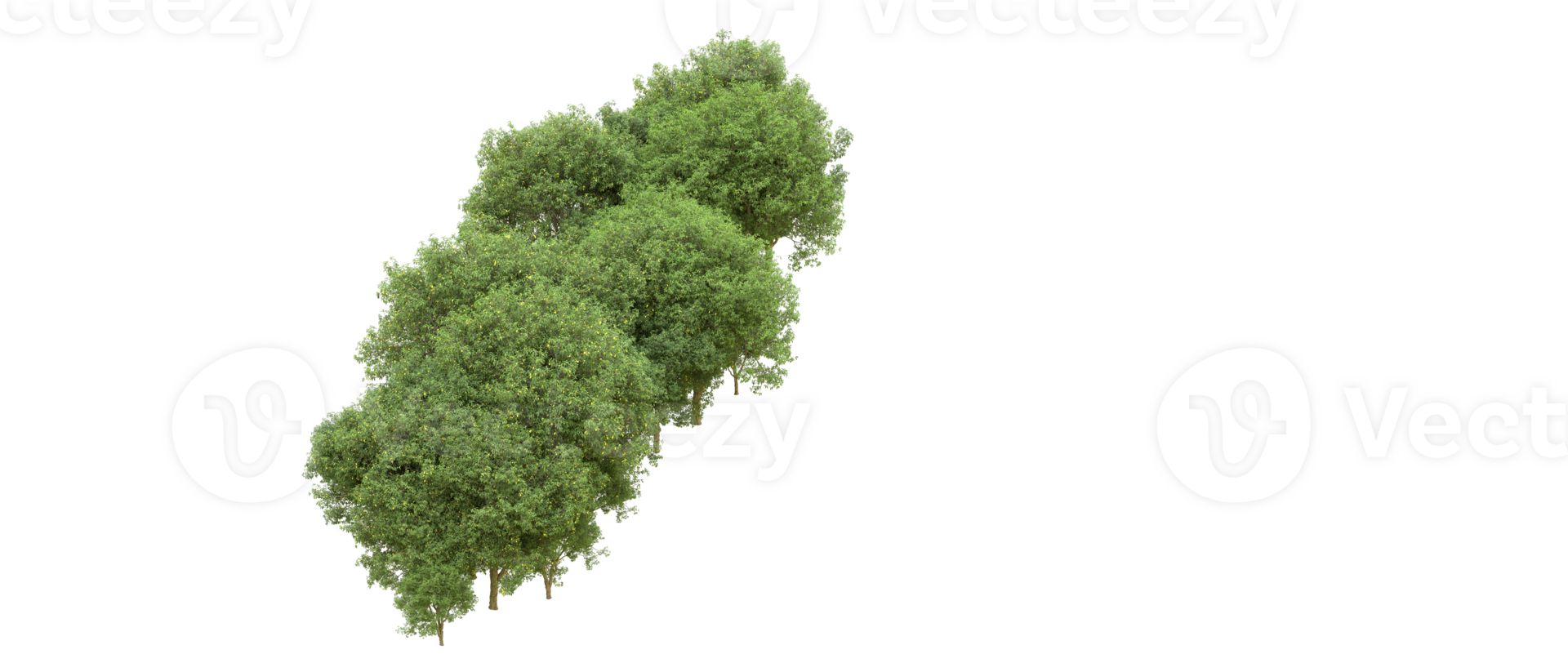 Green forest isolated on background. 3d rendering - illustration png