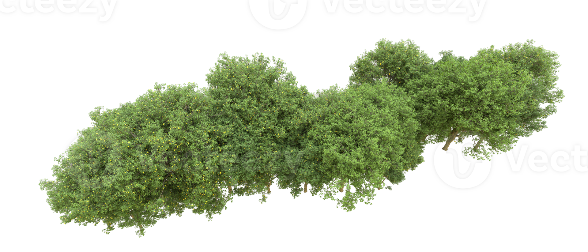 Green forest isolated on background. 3d rendering - illustration png
