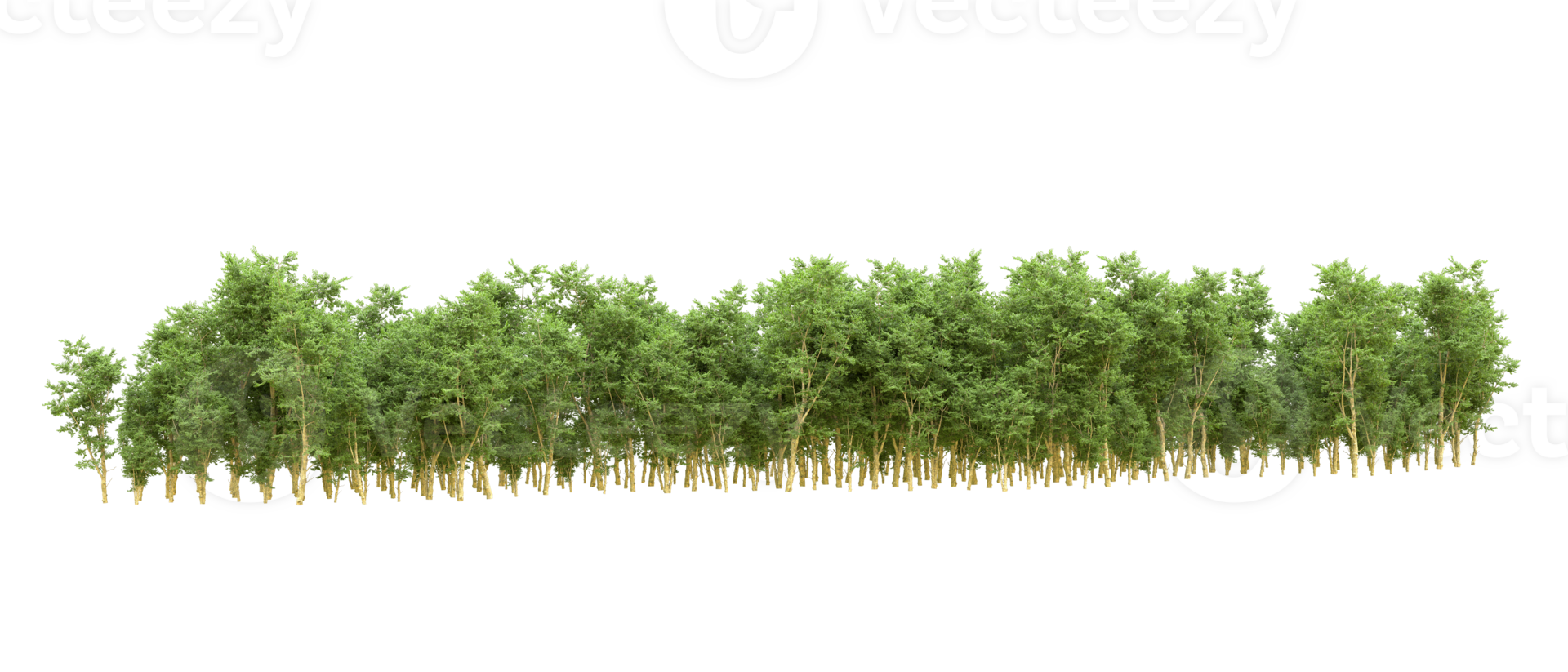 Green forest isolated on background. 3d rendering - illustration png