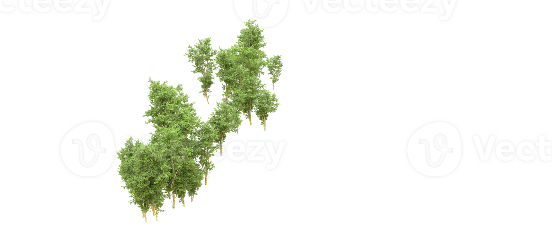 Green forest isolated on background. 3d rendering - illustration png