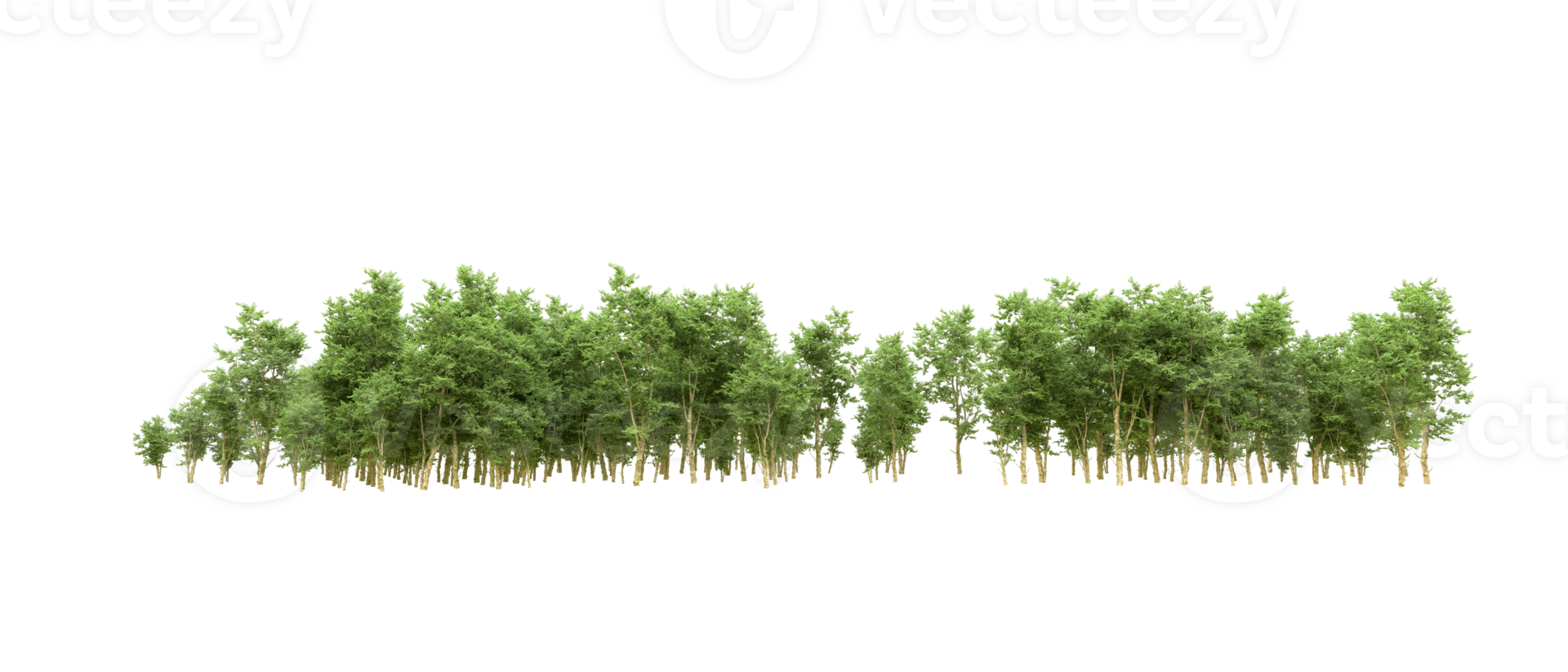 Green forest isolated on background. 3d rendering - illustration png