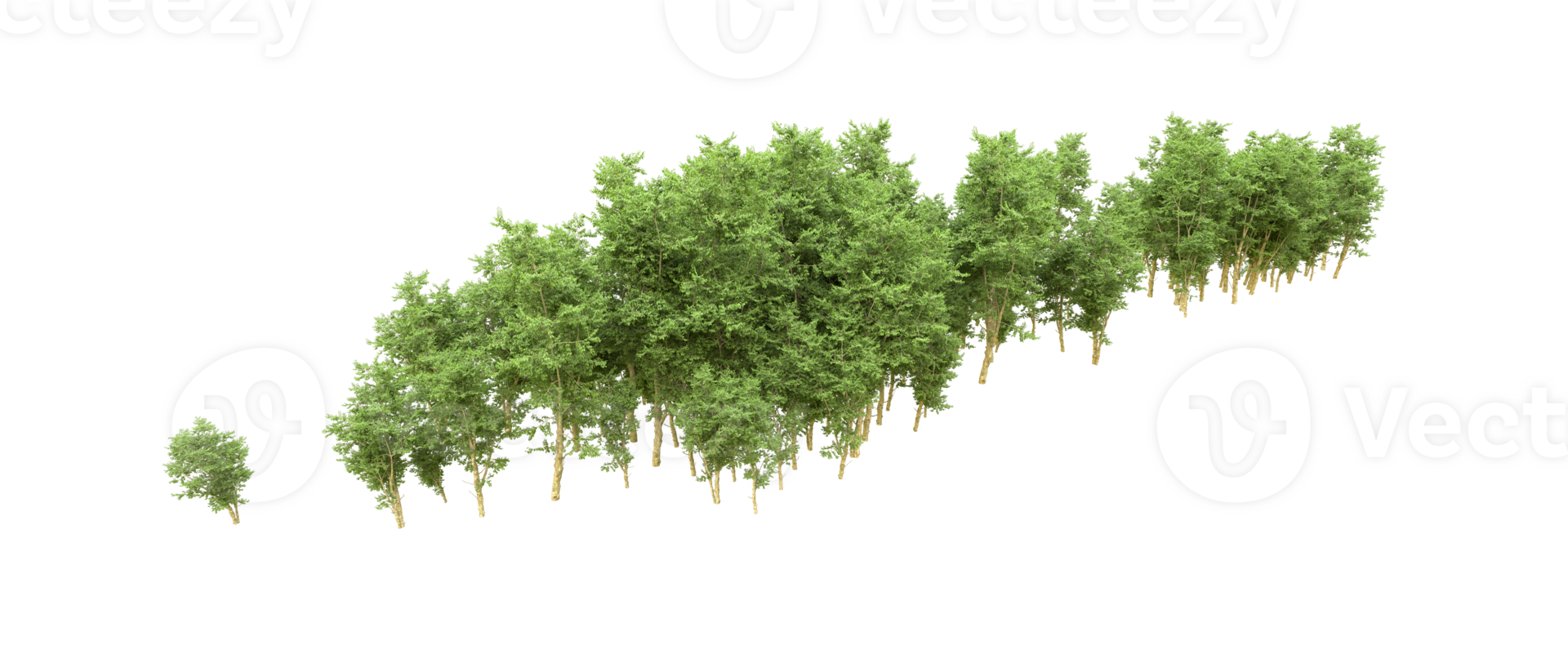 Green forest isolated on background. 3d rendering - illustration png