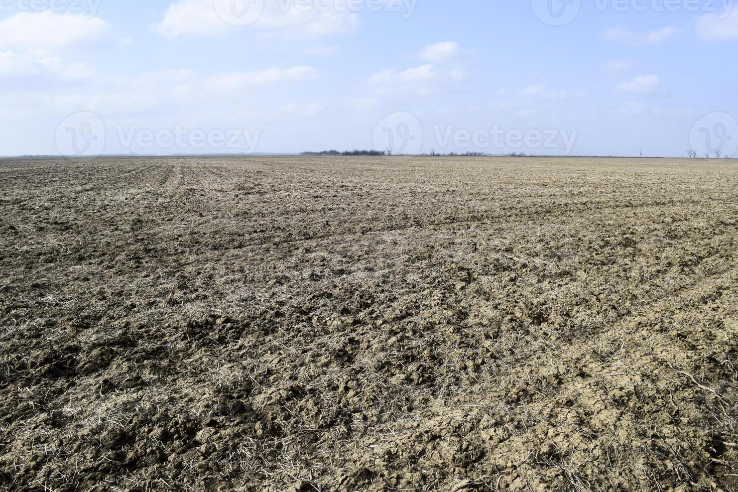 The plowed field. Spring processing of farmlands. photo