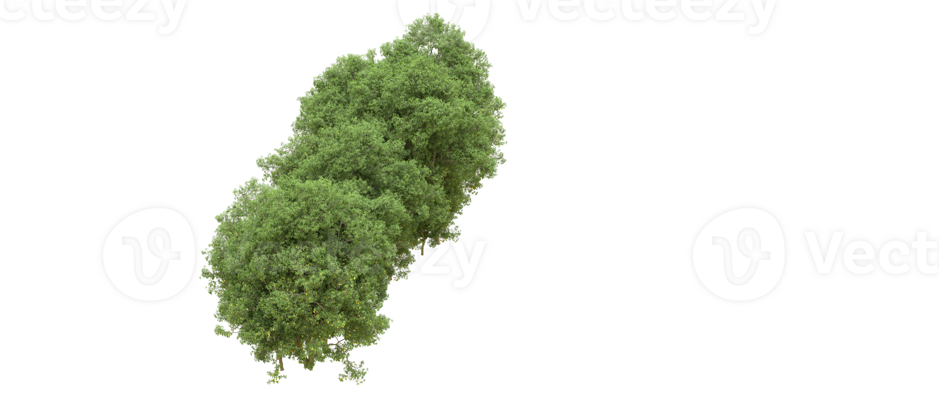 vert forêt isolé sur Contexte. 3d le rendu - illustration png