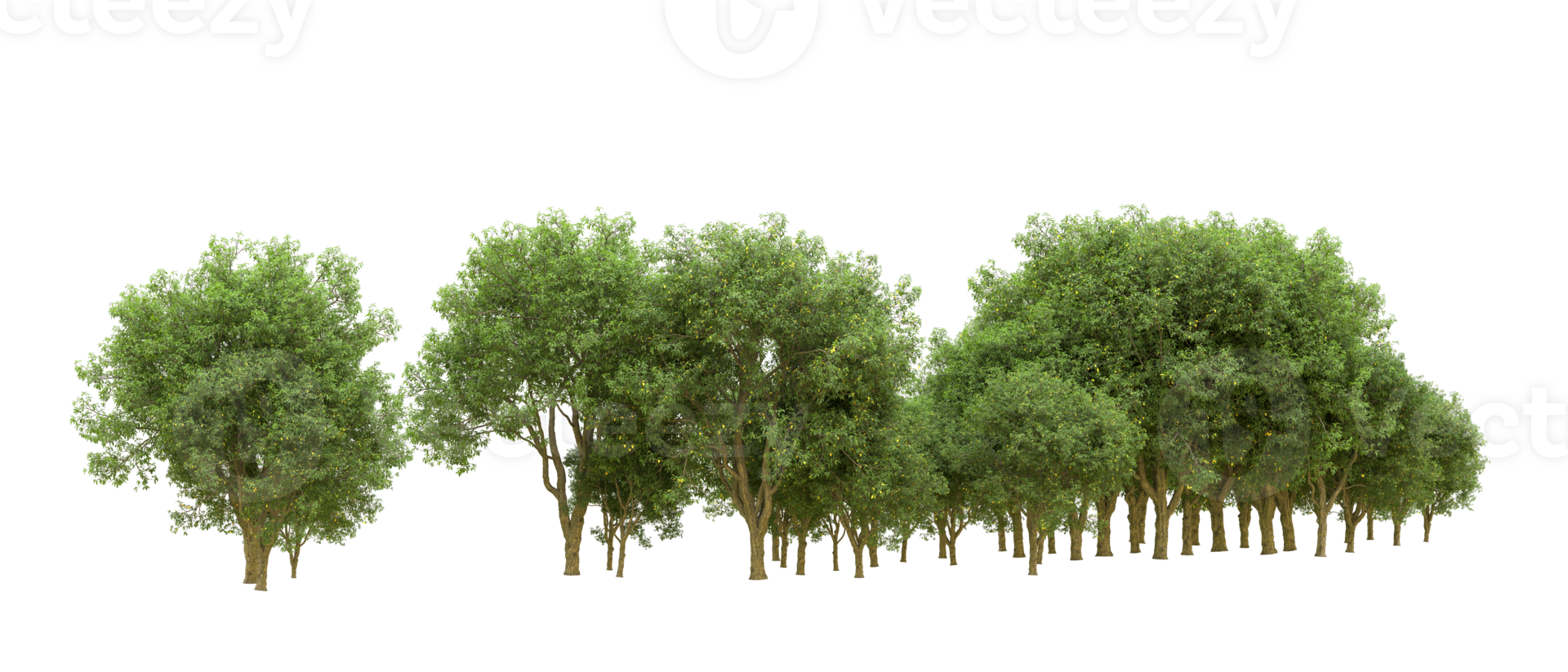 vert forêt isolé sur Contexte. 3d le rendu - illustration png