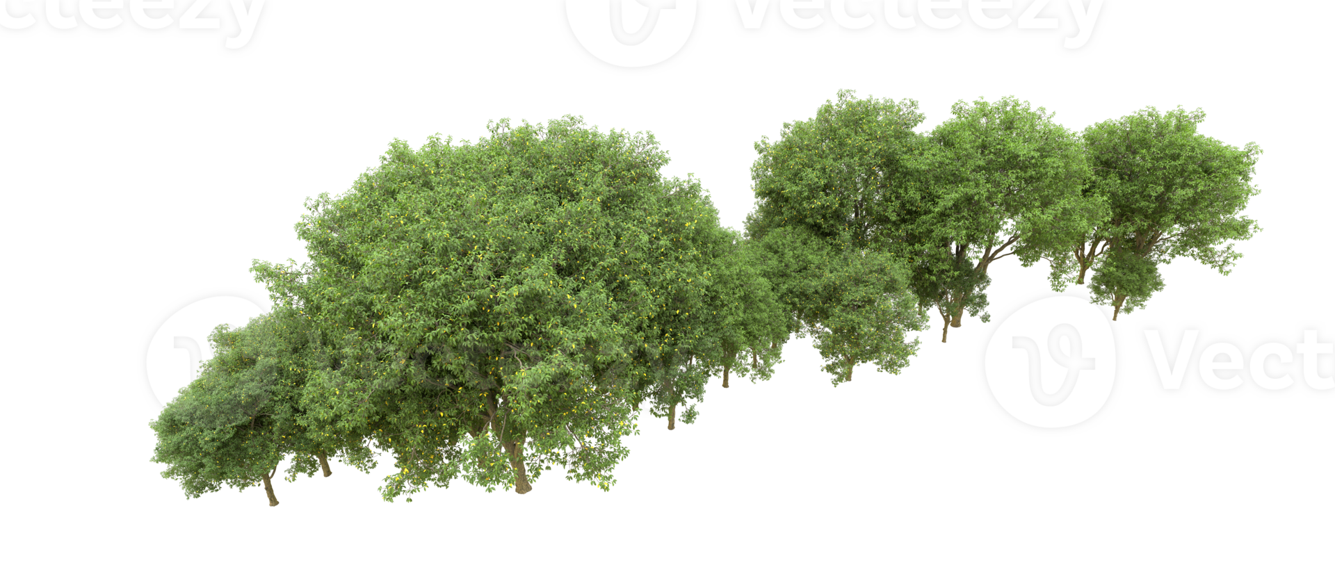 verde foresta isolato su sfondo. 3d interpretazione - illustrazione png