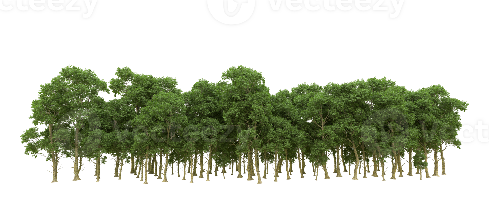 Green forest isolated on background. 3d rendering - illustration png