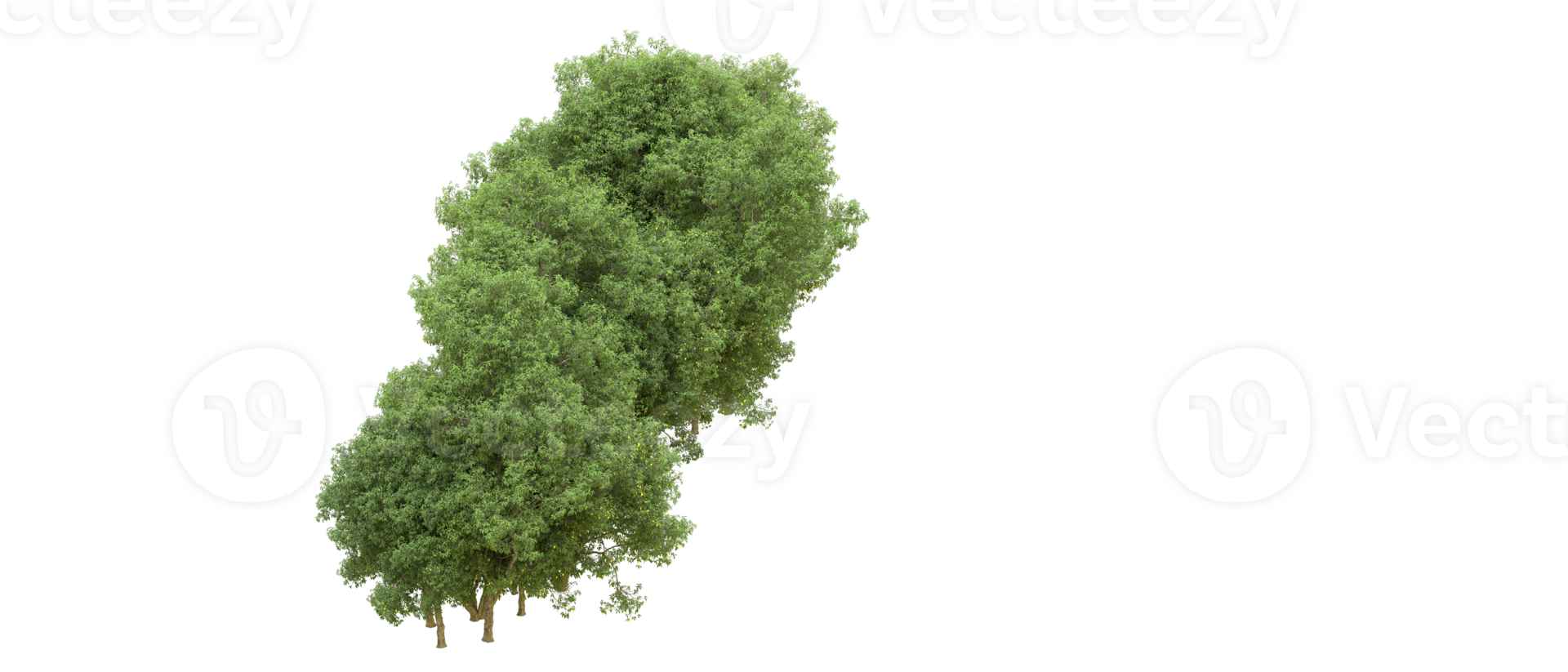 vert forêt isolé sur Contexte. 3d le rendu - illustration png