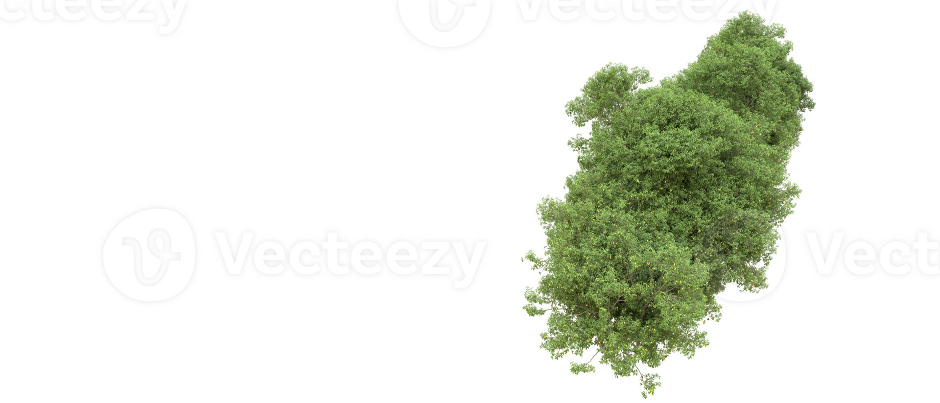 verde foresta isolato su sfondo. 3d interpretazione - illustrazione png