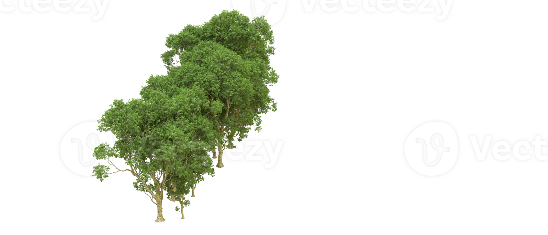 Green forest isolated on background. 3d rendering - illustration png