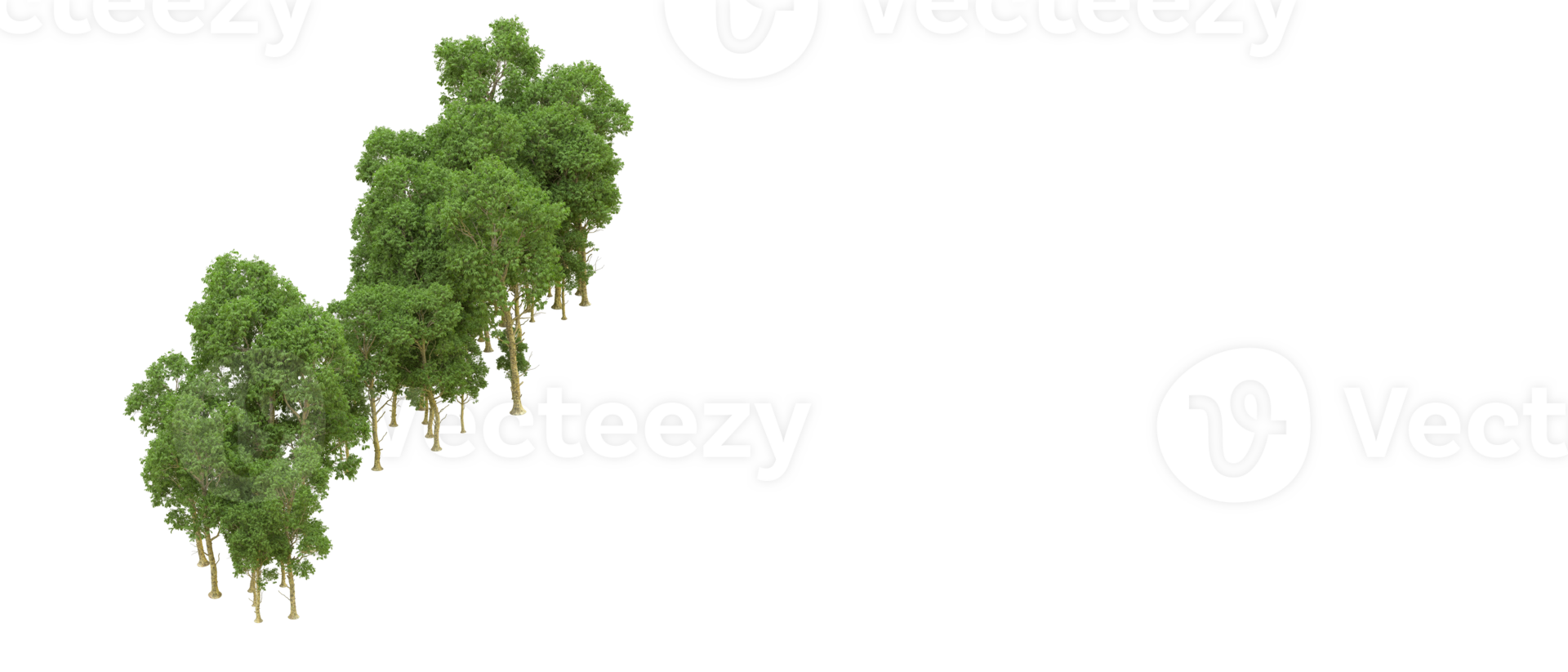 vert forêt isolé sur Contexte. 3d le rendu - illustration png