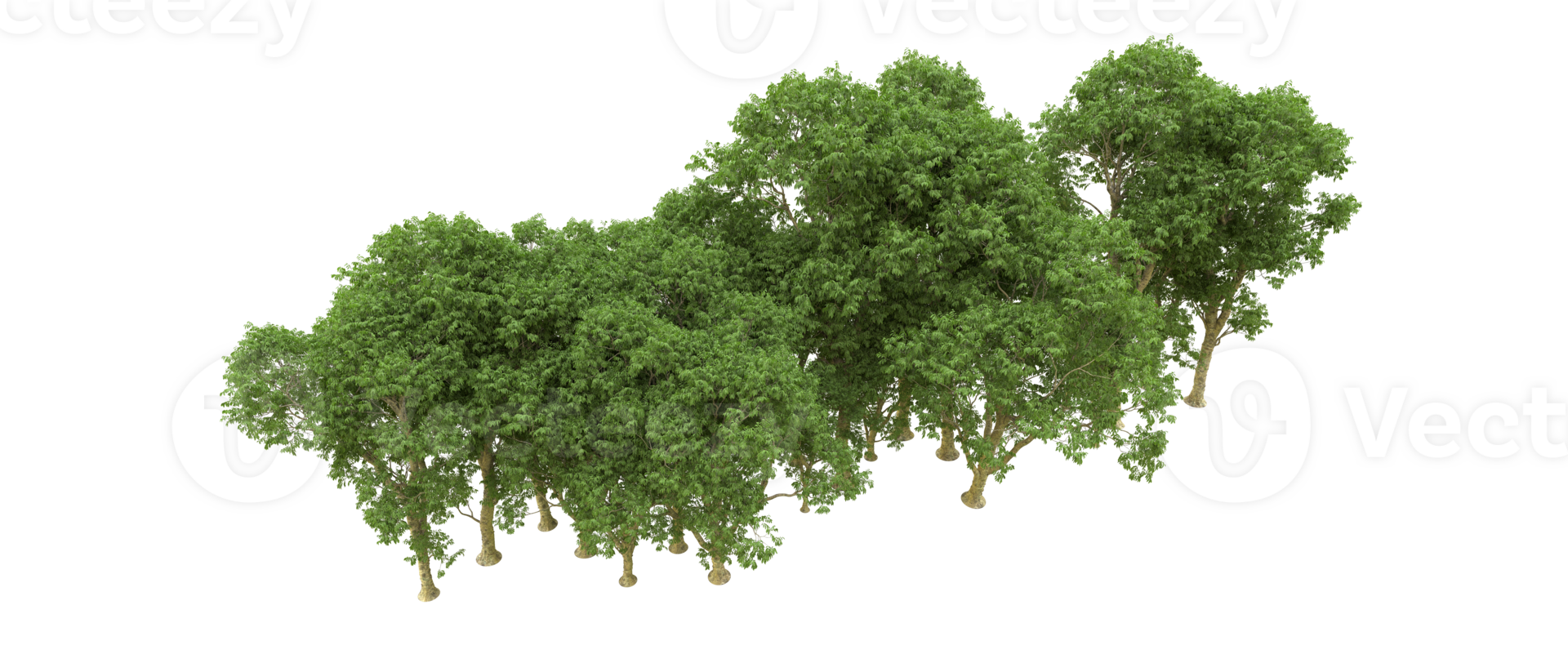 Grün Wald isoliert auf Hintergrund. 3d Rendern - - Illustration png