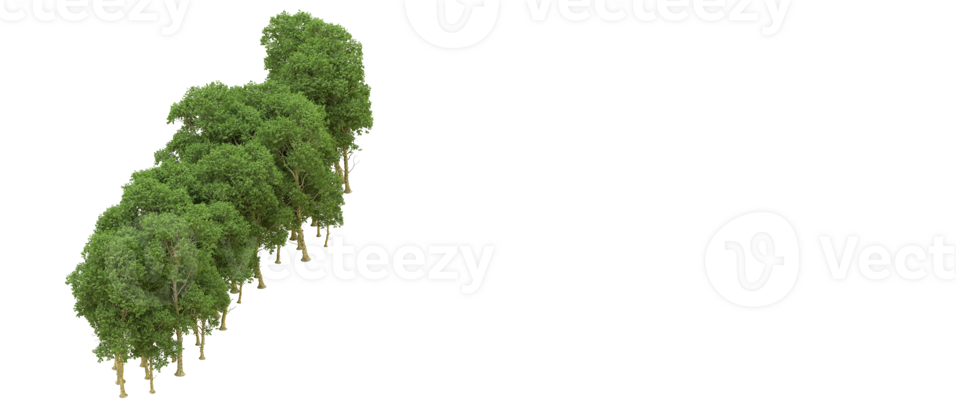 Green forest isolated on background. 3d rendering - illustration png