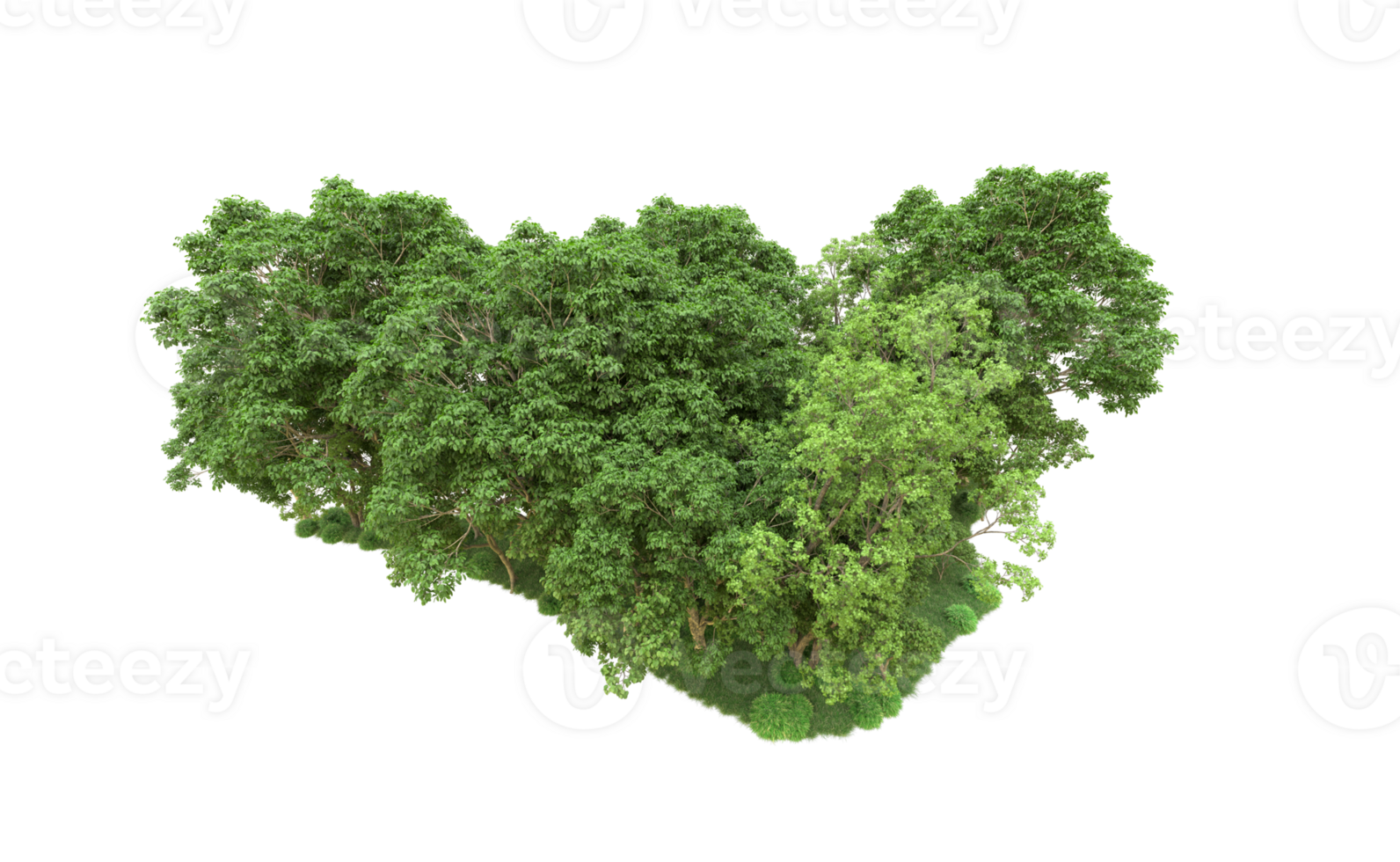 Green forest isolated on background. 3d rendering - illustration png