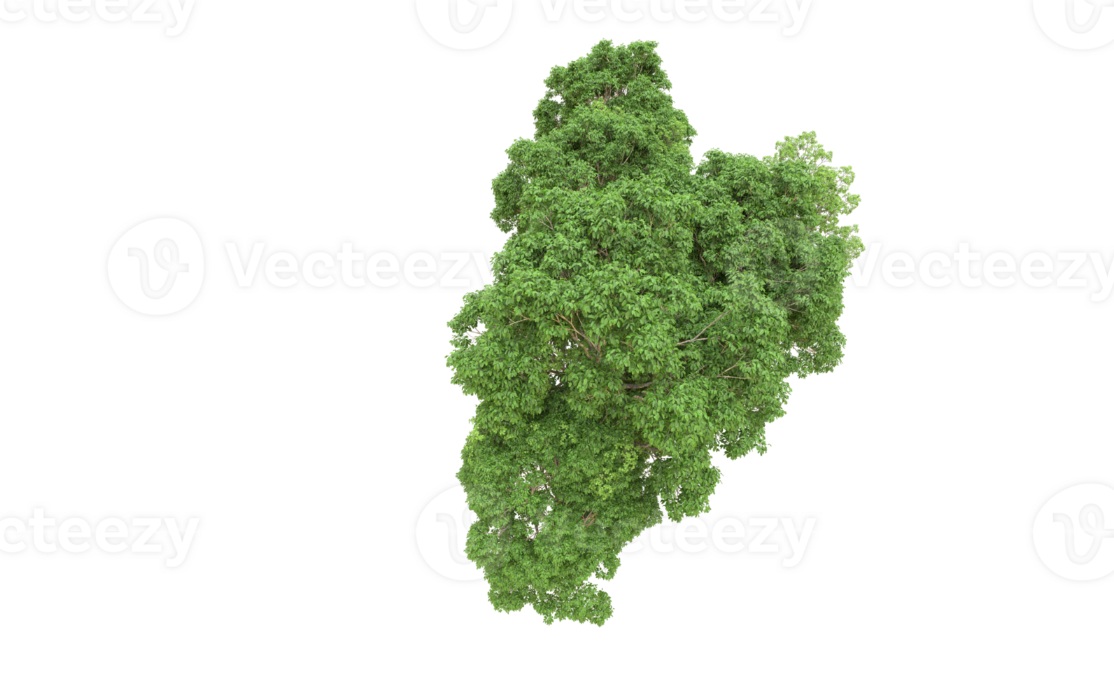 Green forest isolated on background. 3d rendering - illustration png