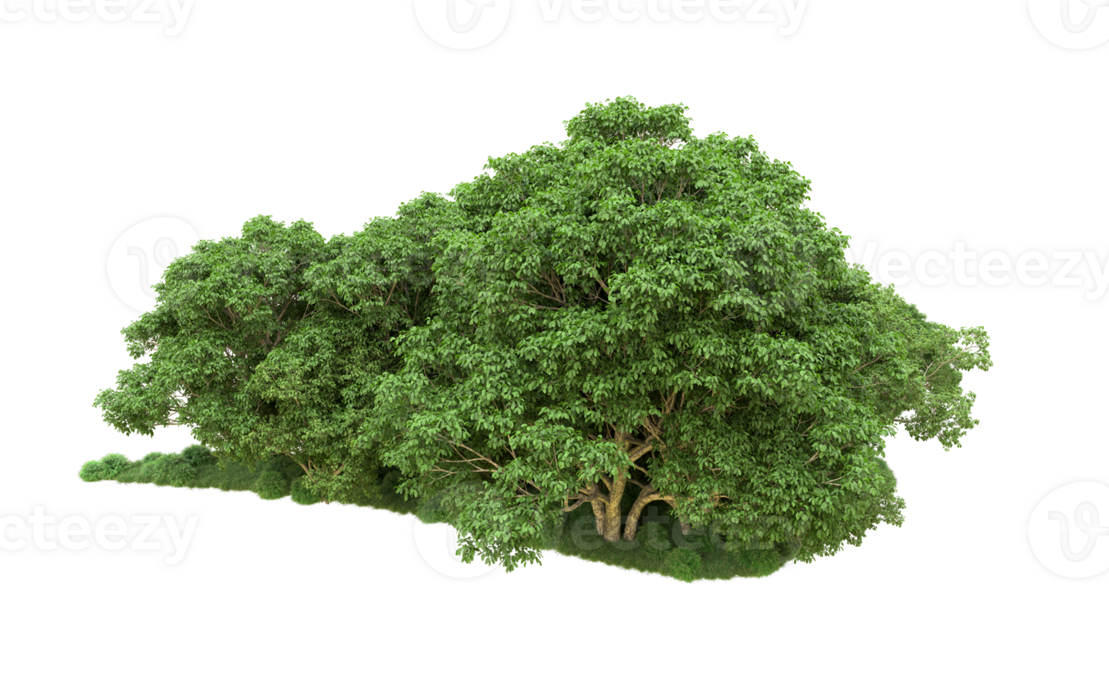 Green forest isolated on background. 3d rendering - illustration png