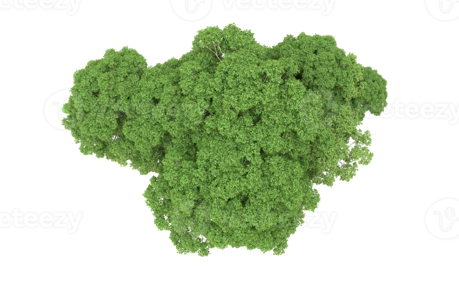 Green forest isolated on background. 3d rendering - illustration png