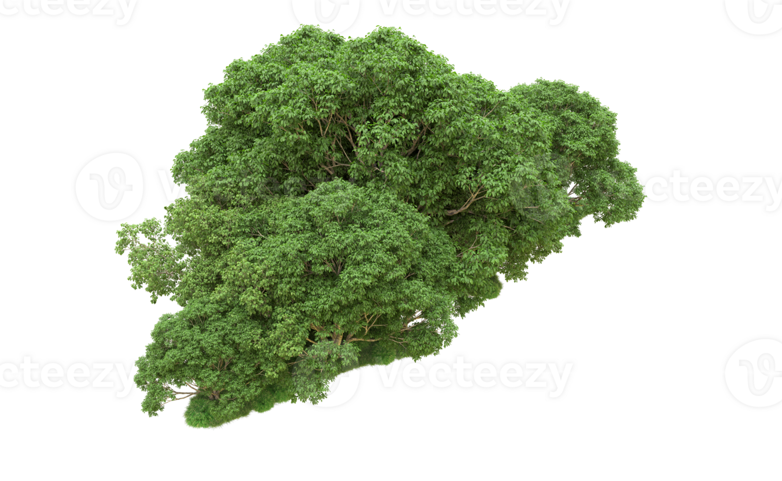 Green forest isolated on background. 3d rendering - illustration png