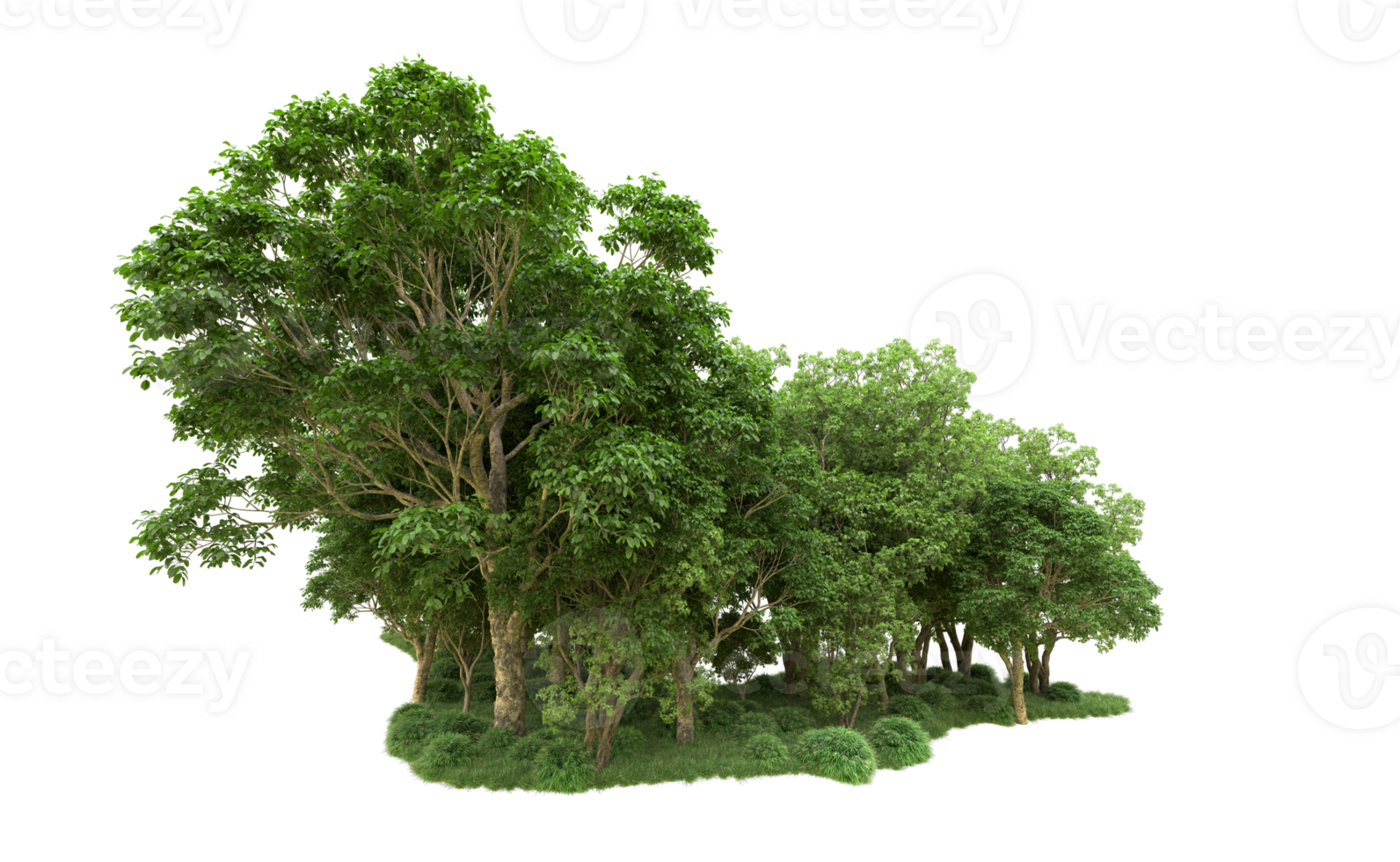 Green forest isolated on background. 3d rendering - illustration png