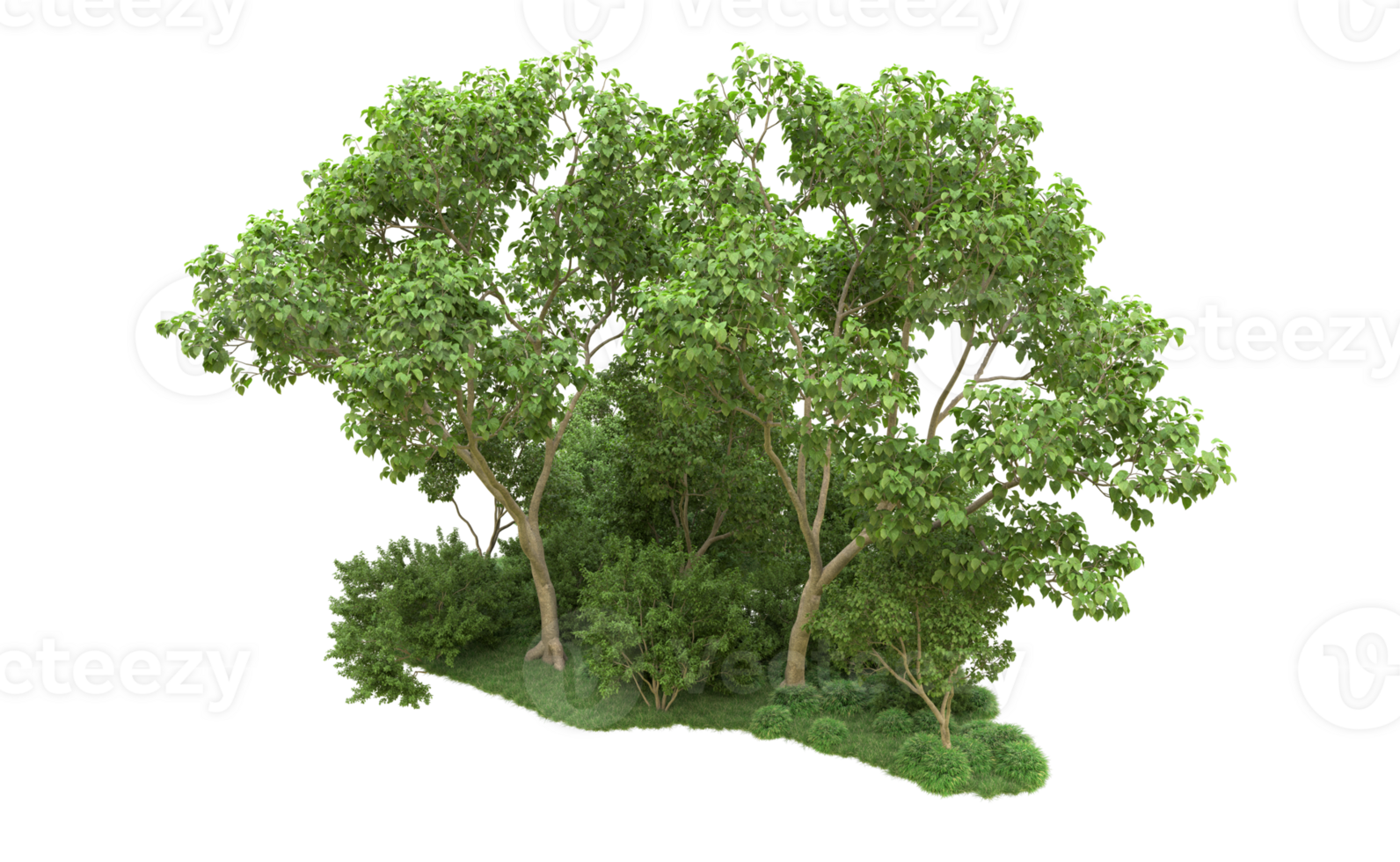 Green forest isolated on background. 3d rendering - illustration png