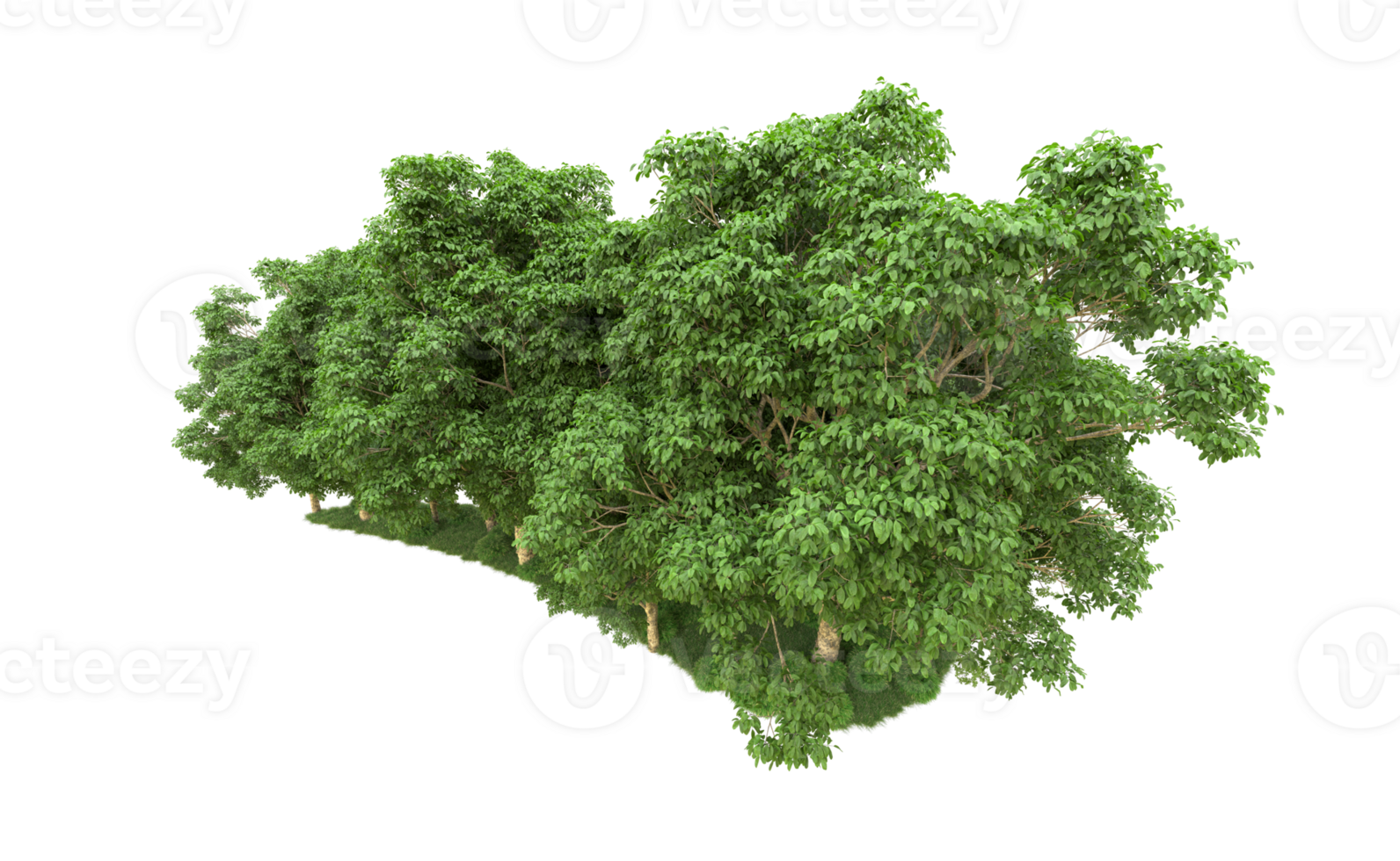 Green forest isolated on background. 3d rendering - illustration png