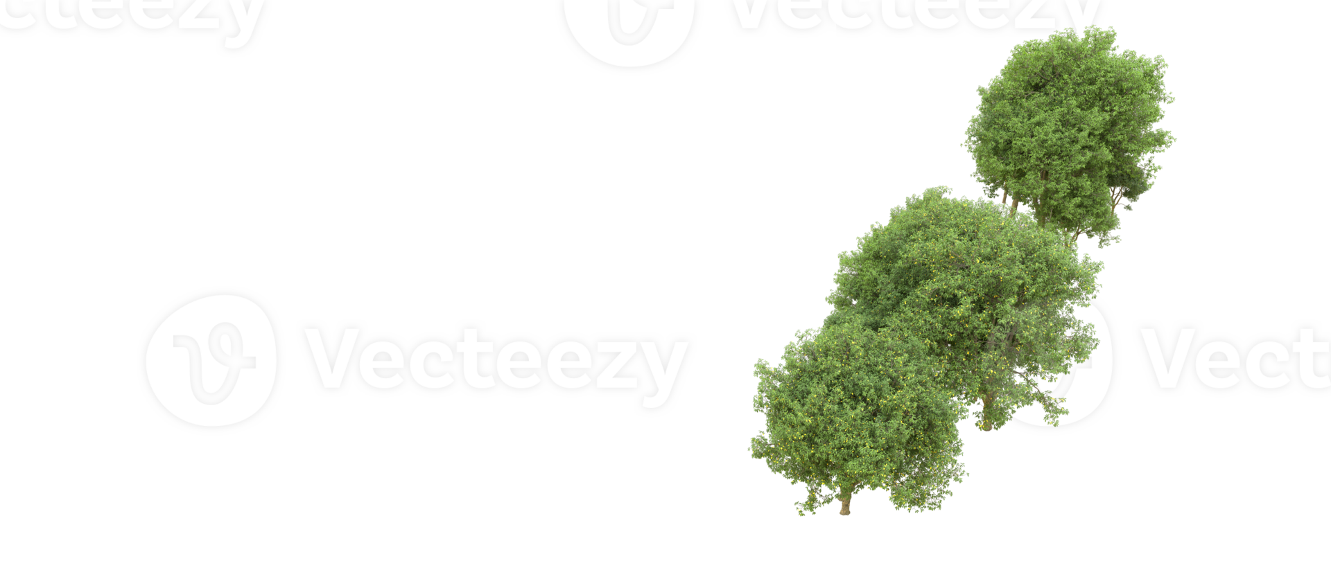 Green forest isolated on background. 3d rendering - illustration png