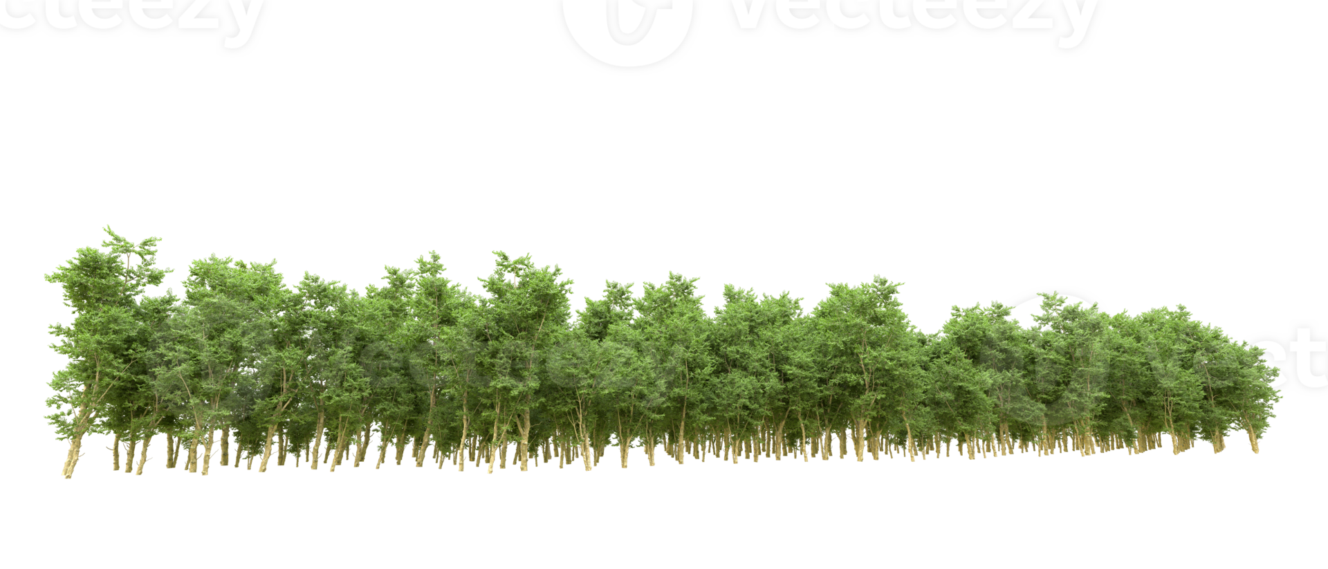 Green forest isolated on background. 3d rendering - illustration png